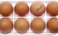 product recall insurance
