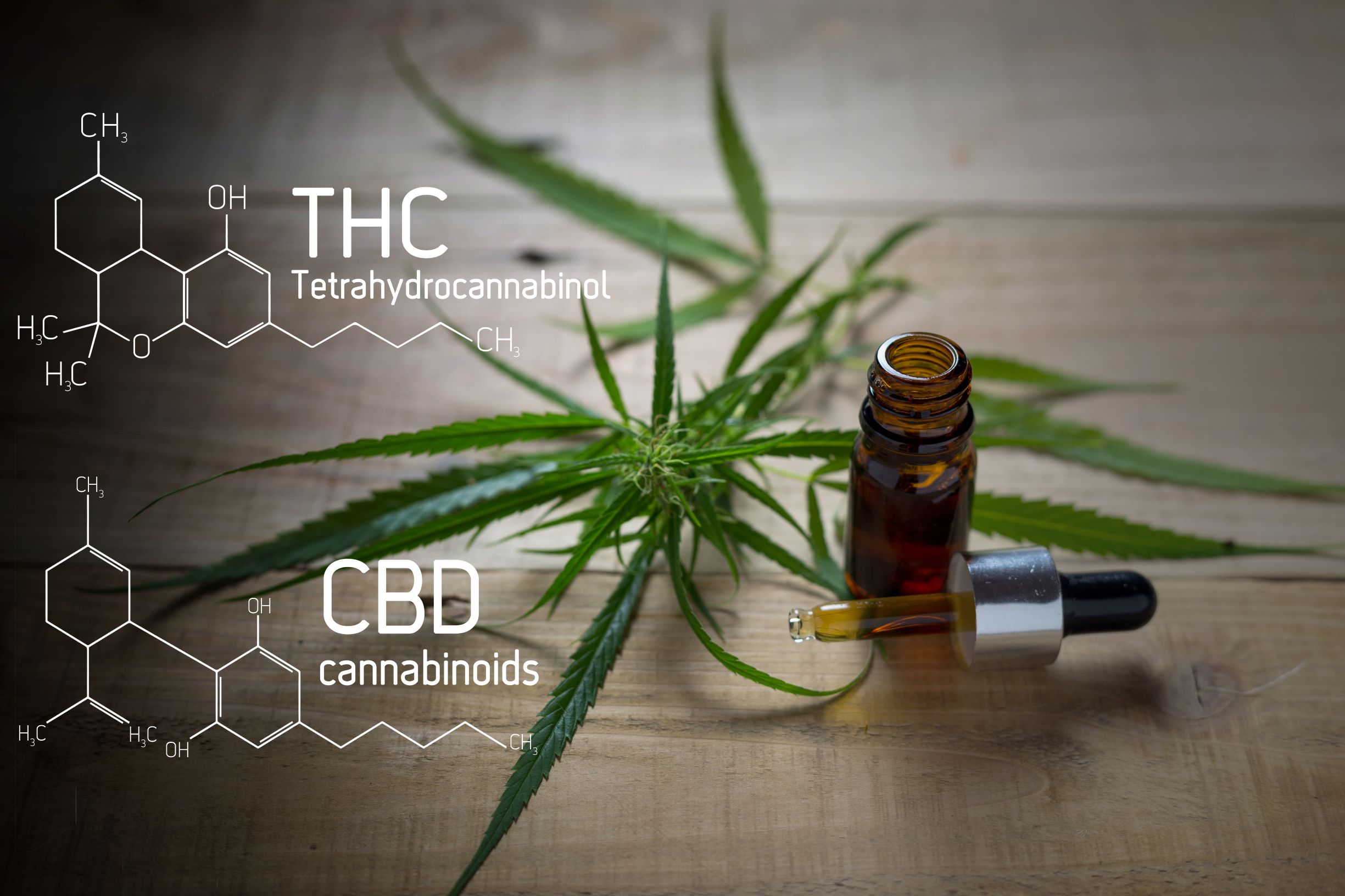 recreational CBD Medical Cannabis Marijuana Insurance